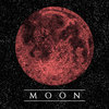 HOLY MUSHROOM "Moon" LP
